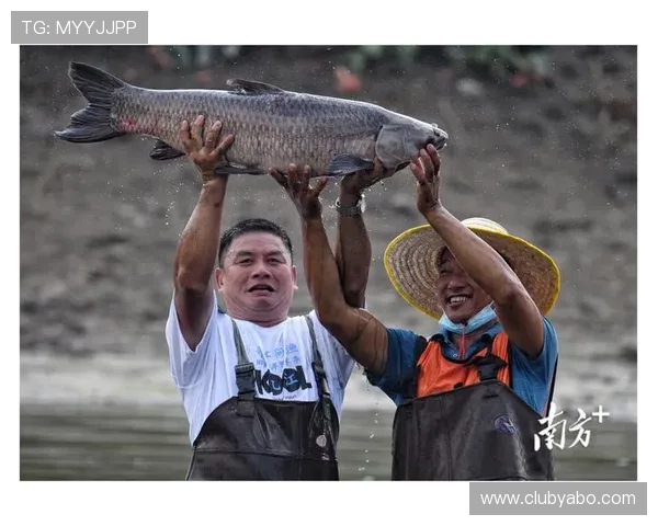 亚博捕鱼高分攻略与技巧秘籍,助你在激烈的捕鱼比赛中脱颖而出 亚博捕鱼高分攻略与技巧秘籍,助你在激烈的捕鱼比赛中脱颖而出
